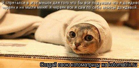 Я спрятался в этот мешок для того что бы все подумали что я дождевой червяк и не мыли меня! я червяк... Котоматрица: Я спрятался в этот мешок для того что бы все подумали что я дождевой червяк и не мыли меня! я червяк все я сам по себе моюсь! дождевой..