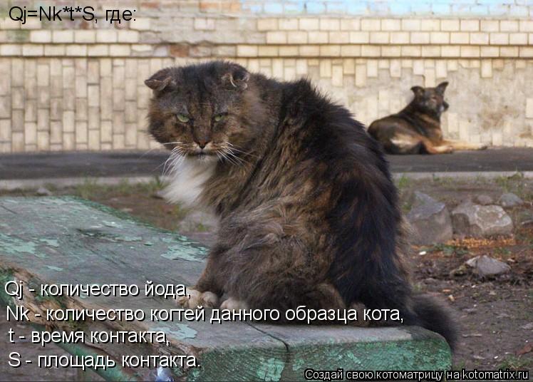 Qj=Nk*t*S, где: S - площадь контакта. t - время контакта, Nk - количество когтей данного образца кота... Котоматрица: Qj=Nk*t*S, где: S - площадь контакта. t - время контакта, Nk - количество когтей данного образца кота, Qj - количество йода,