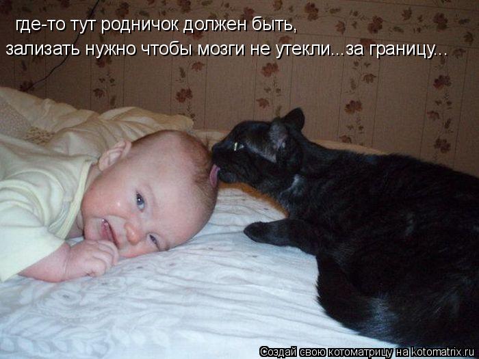 где-то тут родничок должен быть, зализать нужно чтобы мозги не утекли...за границу...... Котоматрица: где-то тут родничок должен быть, зализать нужно чтобы мозги не утекли...за границу...