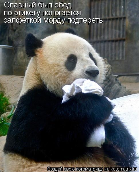 Славный был обед по этикету пологается салфеткой морду подтереть... Котоматрица: Славный был обед по этикету пологается салфеткой морду подтереть