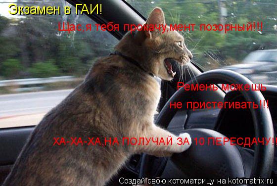 Экзамен в ГАИ! Ремень можешь не пристегивать!!! Щас,я тебя прокачу,мент позорный!!! ХА-ХА-ХА,НА ПОЛУЧ... Котоматрица: Экзамен в ГАИ! Ремень можешь не пристегивать!!! Щас,я тебя прокачу,мент позорный!!! ХА-ХА-ХА,НА ПОЛУЧАЙ ЗА 10 ПЕРЕСДАЧУ!!!