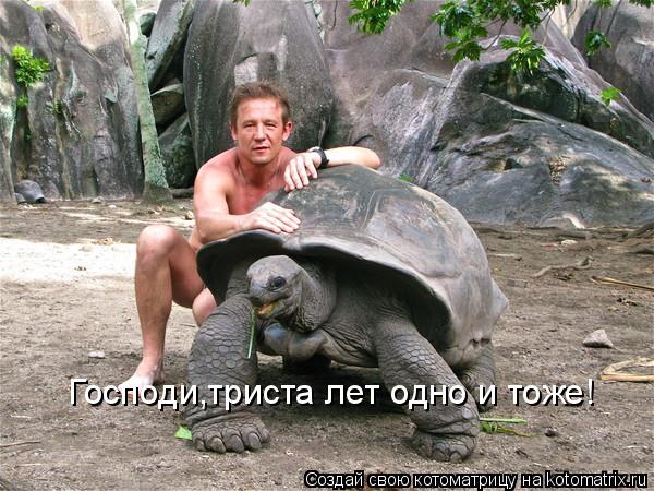 Господи,триста лет одно и тоже!... Котоматрица: Господи,триста лет одно и тоже!