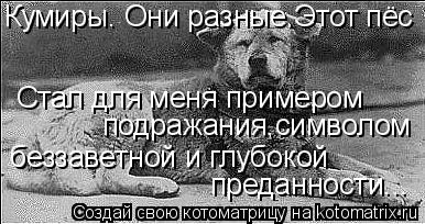 Кумиры. Они разные.Этот пёс Стал для меня примером подражания,символом беззаветной и глубокой преданн... Котоматрица: Кумиры. Они разные.Этот пёс Стал для меня примером подражания,символом беззаветной и глубокой преданности...