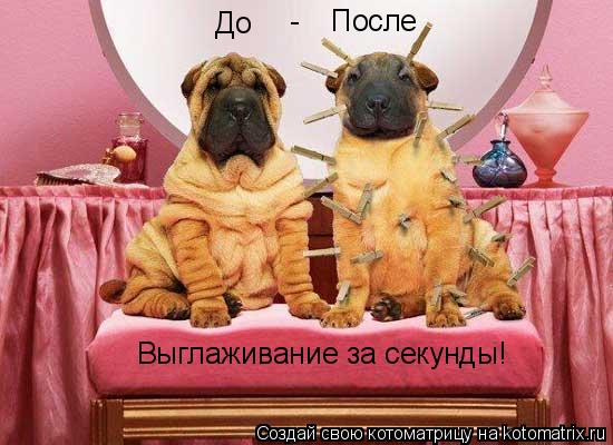 До - После Выглаживание за секунды!... Котоматрица: До - После Выглаживание за секунды!