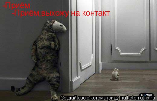 -Приём -Приём,выхожу на контакт... Котоматрица: -Приём -Приём,выхожу на контакт