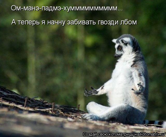 Ом-манэ-падмэ-хумммммммммм... А теперь я начну забивать гвозди лбом... Котоматрица: Ом-манэ-падмэ-хумммммммммм... А теперь я начну забивать гвозди лбом