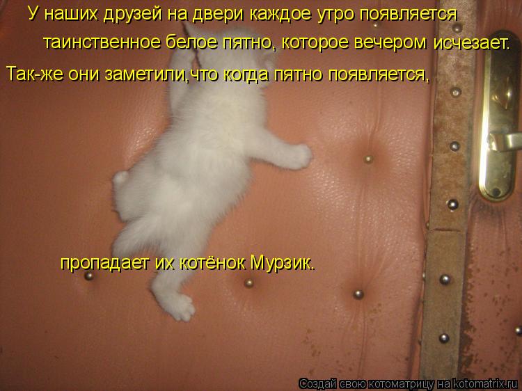 У наших друзей на двери каждое утро появляется таинственное белое пятно, которое вечером исчезает. Та... Котоматрица: У наших друзей на двери каждое утро появляется таинственное белое пятно, которое вечером исчезает. Так-же они заметили,что когда пятно появ