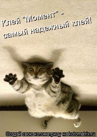 Клей "Момент" - самый надежный клей!... Котоматрица: Клей "Момент" - самый надежный клей!