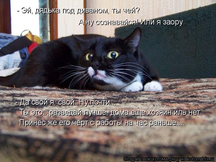 - Эй, дядька под диваном, ты чей? А ну сознавайся! Или я заору - Да свой я, свой. Ну почти... Ты это.... Котоматрица: - Эй, дядька под диваном, ты чей? А ну сознавайся! Или я заору - Да свой я, свой. Ну почти... Ты это...разведай лучше, дома еще хозяин иль нет. Принё