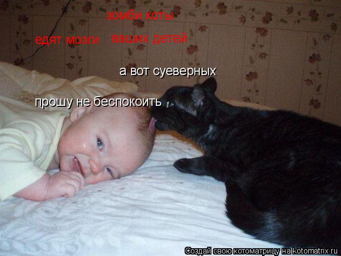 зомби коты едят мозги ваших детей а вот суеверных прошу не беспокоить... Котоматрица: зомби коты едят мозги ваших детей а вот суеверных прошу не беспокоить