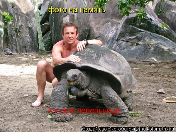 фото на память я и моя пепельница... Котоматрица: фото на память я и моя пепельница