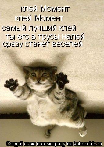 клей Момент клей Момент самый лучший клей ты его в трусы налей сразу станет веселей... Котоматрица: клей Момент клей Момент самый лучший клей ты его в трусы налей сразу станет веселей