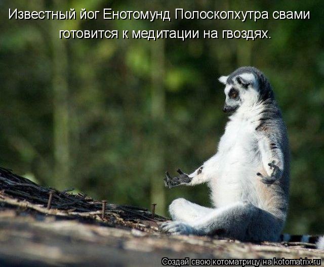 Известный йог Енотомунд Полоскопхутра свами готовится к медитации на гвоздях.... Котоматрица: Известный йог Енотомунд Полоскопхутра свами готовится к медитации на гвоздях.