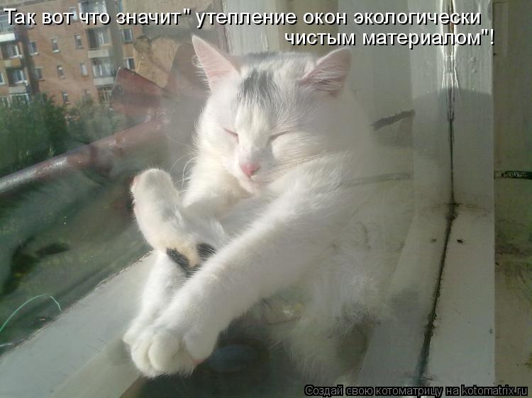 Так вот что значит " утепление окон экологически чистым материалом"!... Котоматрица: Так вот что значит " утепление окон экологически чистым материалом"!