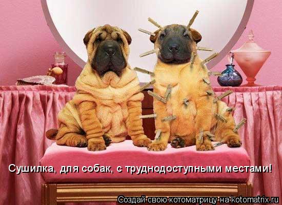 Сушилка, для собак, с труднодоступными местами!... Котоматрица: Сушилка, для собак, с труднодоступными местами!