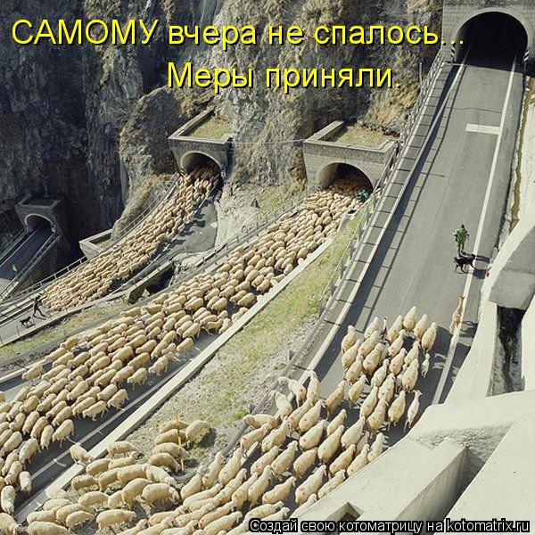 САМОМУ вчера не спалось... Меры приняли.... Котоматрица: САМОМУ вчера не спалось... Меры приняли.