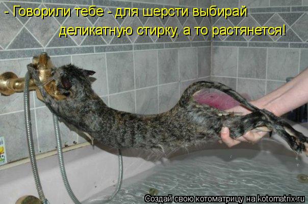 - Говорили тебе - для шерсти выбирай деликатную стирку, а то растянется!... Котоматрица: - Говорили тебе - для шерсти выбирай деликатную стирку, а то растянется!