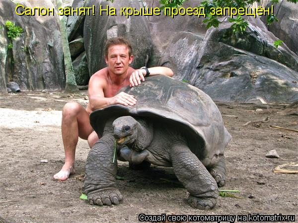 Салон занят! На крыше проезд запрещён!... Котоматрица: Салон занят! На крыше проезд запрещён!