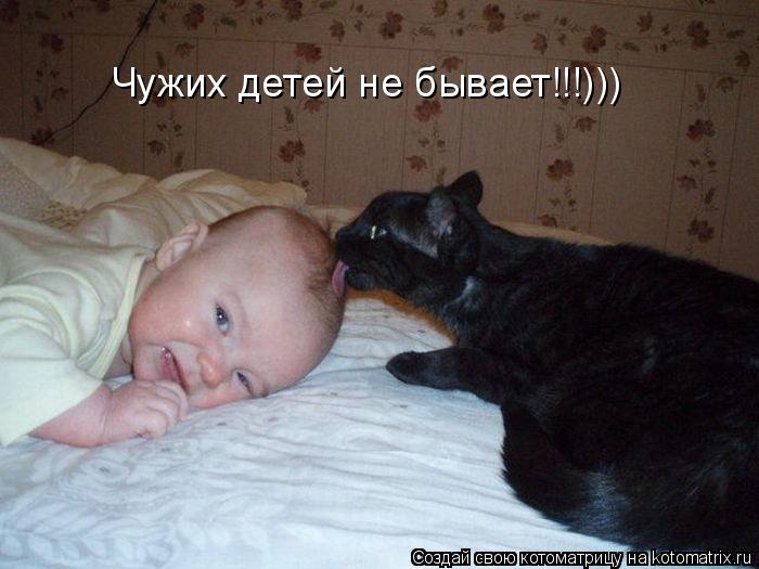 Чужих детей не бывает!!!)))... Котоматрица: Чужих детей не бывает!!!)))