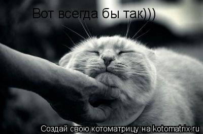 Вот всегда бы так)))... Котоматрица: Вот всегда бы так)))