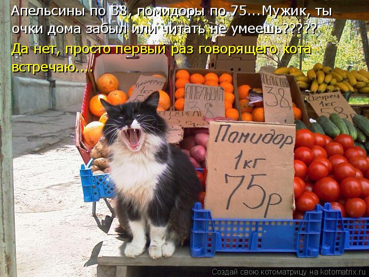 Апельсины по 38, помидоры по 75...Мужик, ты очки дома забыл или читать не умеешь????? Да нет, просто ... Котоматрица: Апельсины по 38, помидоры по 75...Мужик, ты очки дома забыл или читать не умеешь????? Да нет, просто первый раз говорящего кота встречаю....