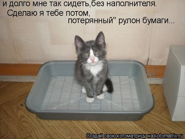 и долго мне так сидеть,без наполнителя. Сделаю я тебе потом, потерянный" рулон бумаги...... Котоматрица: и долго мне так сидеть,без наполнителя. Сделаю я тебе потом, потерянный" рулон бумаги...