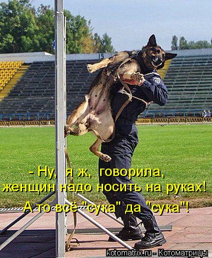 женщин надо носить на руках! А то всё "сука" да "сука"! - Ну, я ж, говорила,... Котоматрица: женщин надо носить на руках! А то всё "сука" да "сука"! - Ну, я ж, говорила,