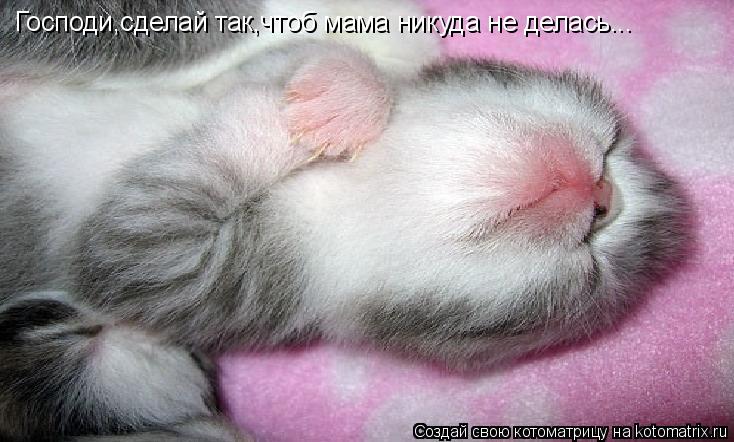 Господи,сделай так,чтоб мама никуда не делась...... Котоматрица: Господи,сделай так,чтоб мама никуда не делась...