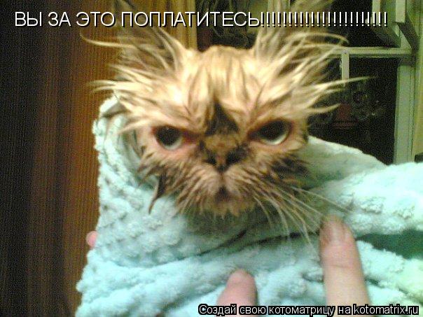ВЫ ЗА ЭТО ПОПЛАТИТЕСЬ!!!!!!!!!!!!!!!!!!!!!!!... Котоматрица: ВЫ ЗА ЭТО ПОПЛАТИТЕСЬ!!!!!!!!!!!!!!!!!!!!!!!