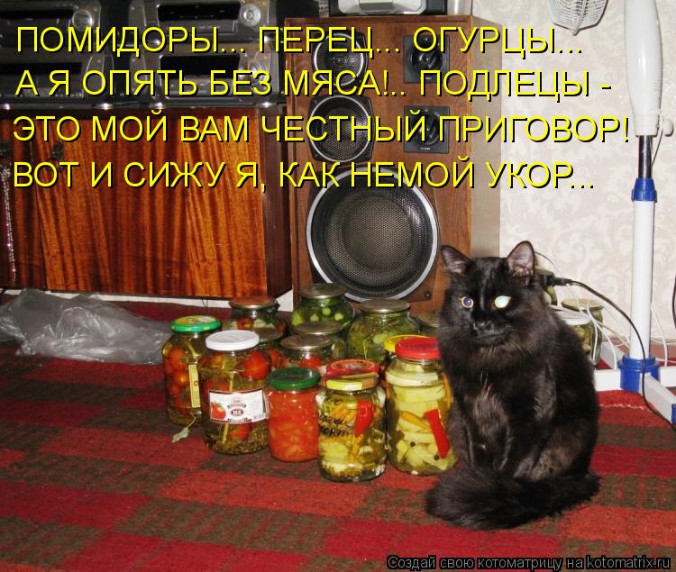 ПОМИДОРЫ... ПЕРЕЦ... ОГУРЦЫ... А Я ОПЯТЬ БЕЗ МЯСА!.. ПОДЛЕЦЫ - ЭТО МОЙ ВАМ ЧЕСТНЫЙ ПРИГОВОР! ВОТ И СИ... Котоматрица: ПОМИДОРЫ... ПЕРЕЦ... ОГУРЦЫ... А Я ОПЯТЬ БЕЗ МЯСА!.. ПОДЛЕЦЫ - ЭТО МОЙ ВАМ ЧЕСТНЫЙ ПРИГОВОР! ВОТ И СИЖУ Я, КАК НЕМОЙ УКОР...