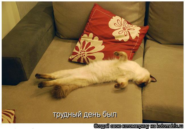 трудный день был... Котоматрица: трудный день был