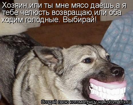 Хозяин,или ты мне мясо даёшь,а я тебе челюсть возвращаю,или оба ходим голодные. Выбирай!... Котоматрица: Хозяин,или ты мне мясо даёшь,а я тебе челюсть возвращаю,или оба ходим голодные. Выбирай!
