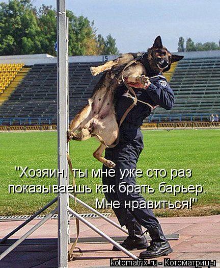 "Хозяин, ты мне уже сто раз показываешь как брать барьер. Мне нравиться!"... Котоматрица: "Хозяин, ты мне уже сто раз показываешь как брать барьер. Мне нравиться!"