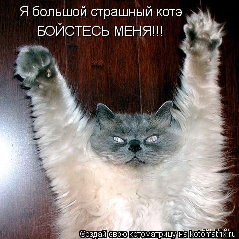 Я большой страшный котэ БОЙСТЕСЬ МЕНЯ!!!... Котоматрица: Я большой страшный котэ БОЙСТЕСЬ МЕНЯ!!!