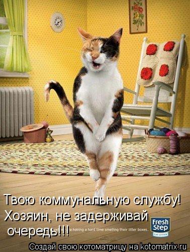 Твою коммунальную службу! Хозяин, не задерживай очередь!!!... Котоматрица: Твою коммунальную службу! Хозяин, не задерживай очередь!!!
