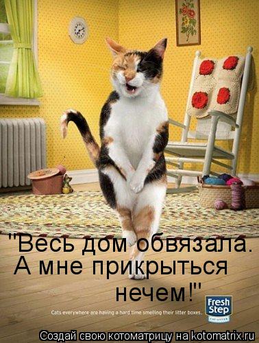 "Весь дом обвязала. А мне прикрыться нечем!"... Котоматрица: "Весь дом обвязала. А мне прикрыться нечем!"