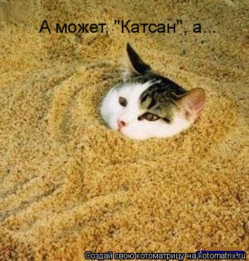 А может, "Катсан", а...... Котоматрица: А может, "Катсан", а...