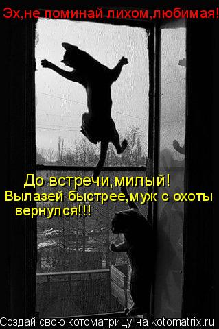 До встречи,милый! Вылазей быстрее,муж с охоты вернулся!!! Эх,не поминай лихом,любимая!... Котоматрица: До встречи,милый! Вылазей быстрее,муж с охоты вернулся!!! Эх,не поминай лихом,любимая!