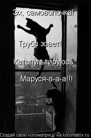 Эх, самоволочка! Труба зовет! Катапультируюсь, Маруся-а-а-а!!!... Котоматрица: Эх, самоволочка! Труба зовет! Катапультируюсь, Маруся-а-а-а!!!