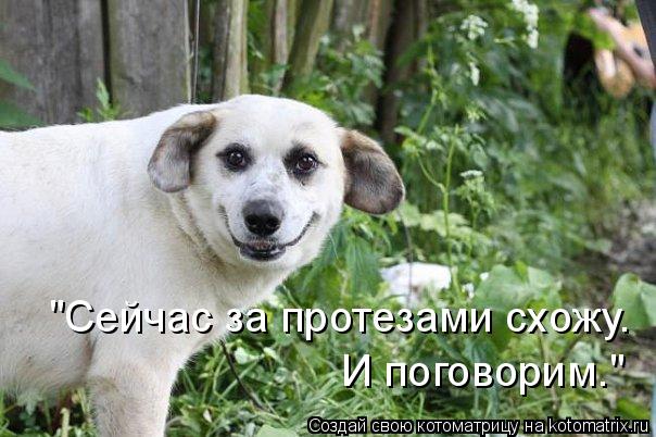 "Сейчас за протезами схожу. И поговорим."... Котоматрица: "Сейчас за протезами схожу. И поговорим."
