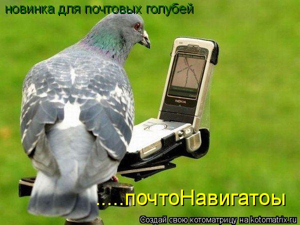 новинка для почтовых голубей .....почтоНавигатоы... Котоматрица: новинка для почтовых голубей .....почтоНавигатоы