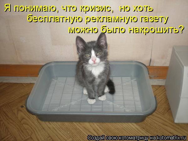 Я понимаю, что кризис, но хоть бесплатную рекламную газету можно было накрошить?... Котоматрица: Я понимаю, что кризис, но хоть бесплатную рекламную газету можно было накрошить?