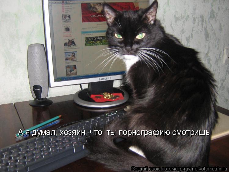 А я думал, хозяин, что ты порнографию смотришь... Котоматрица: А я думал, хозяин, что ты порнографию смотришь