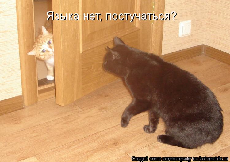 Языка нет, постучаться?... Котоматрица: Языка нет, постучаться?