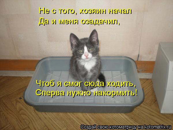Не с того, хозяин начал Да и меня озадачил, Чтоб я смог сюда ходить, Сперва нужно накормить!... Котоматрица: Не с того, хозяин начал Да и меня озадачил, Чтоб я смог сюда ходить, Сперва нужно накормить!