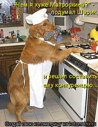 "Чем я хуже Матроскина?" - подумал Шарик, и решил составить ему конкуренцию...... Котоматрица: "Чем я хуже Матроскина?" - подумал Шарик, и решил составить ему конкуренцию...