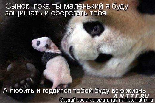Сынок, пока ты маленький я буду защищать и оберегать тебя А любить и гордится тобой буду всю жизнь... Котоматрица: Сынок, пока ты маленький я буду защищать и оберегать тебя А любить и гордится тобой буду всю жизнь