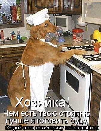 Чем есть твою стряпню лучше я готовить буду! Хозяйка!... Котоматрица: Чем есть твою стряпню лучше я готовить буду! Хозяйка!