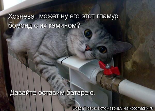Хозяева , может ну его этот гламур , бомонд с их камином? Давайте оставим батарею.... Котоматрица: Хозяева , может ну его этот гламур , бомонд с их камином? Давайте оставим батарею.