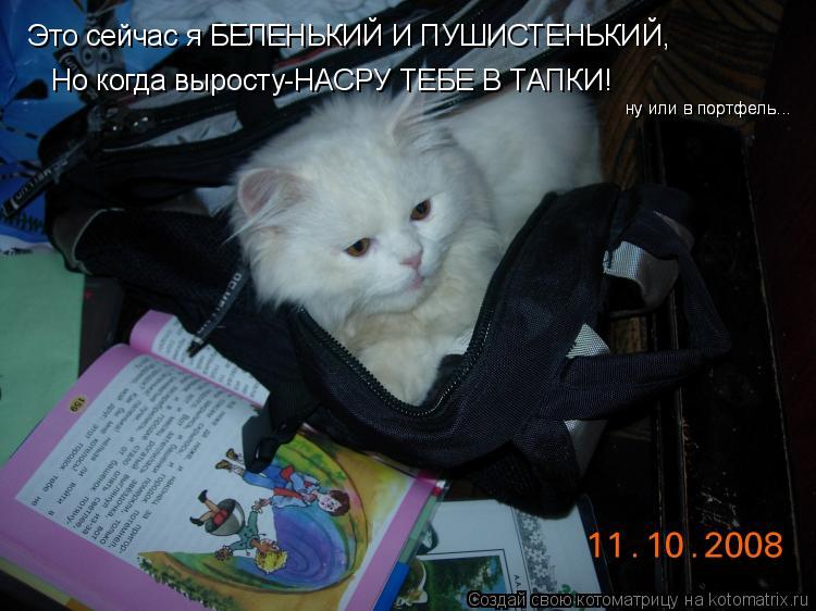 Это сейчас я БЕЛЕНЬКИЙ И ПУШИСТЕНЬКИЙ, Но когда выросту-НАСРУ ТЕБЕ В ТАПКИ! ну или в портфель... ну и... Котоматрица: Это сейчас я БЕЛЕНЬКИЙ И ПУШИСТЕНЬКИЙ, Но когда выросту-НАСРУ ТЕБЕ В ТАПКИ! ну или в портфель... ну или в портфель...